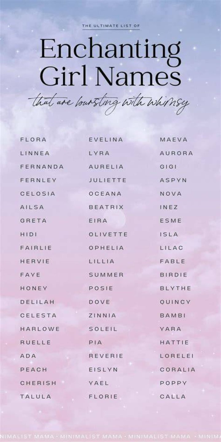 101 Enchanting Names For Your Beloved Pet Fox