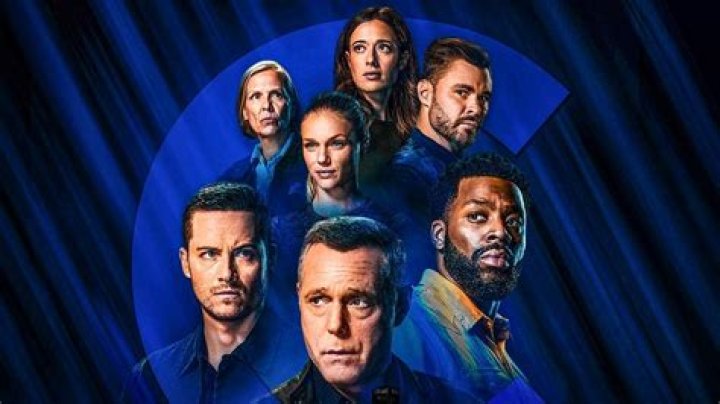 2024 Chicago PD Cast: Meet The Newest Stars