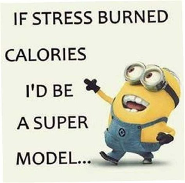 30 funniest minion memes every Facebook mom will be obsessed with ·