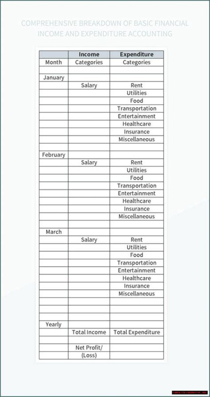 A Comprehensive Breakdown Of Her Income