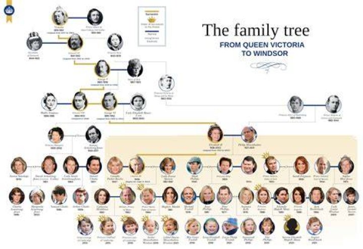 A Comprehensive Family Tree From HBO's 'Succession'