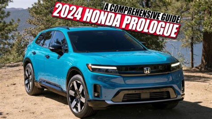 A Comprehensive Look In 2024