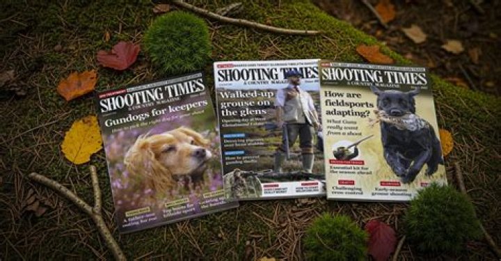 A Profile Of The Shooting Expert