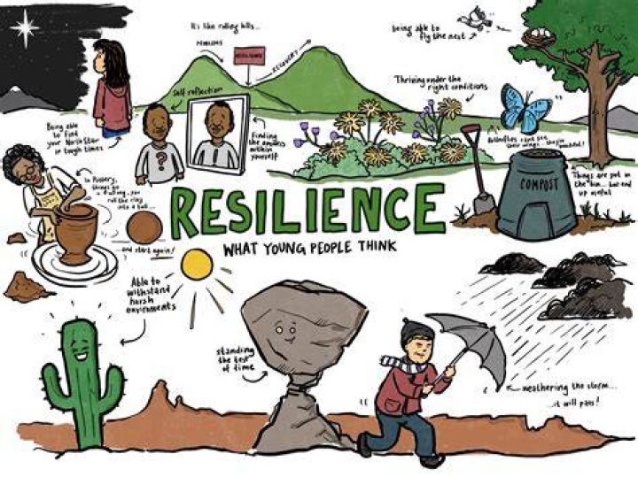 A Window Into Resilience And Advocacy