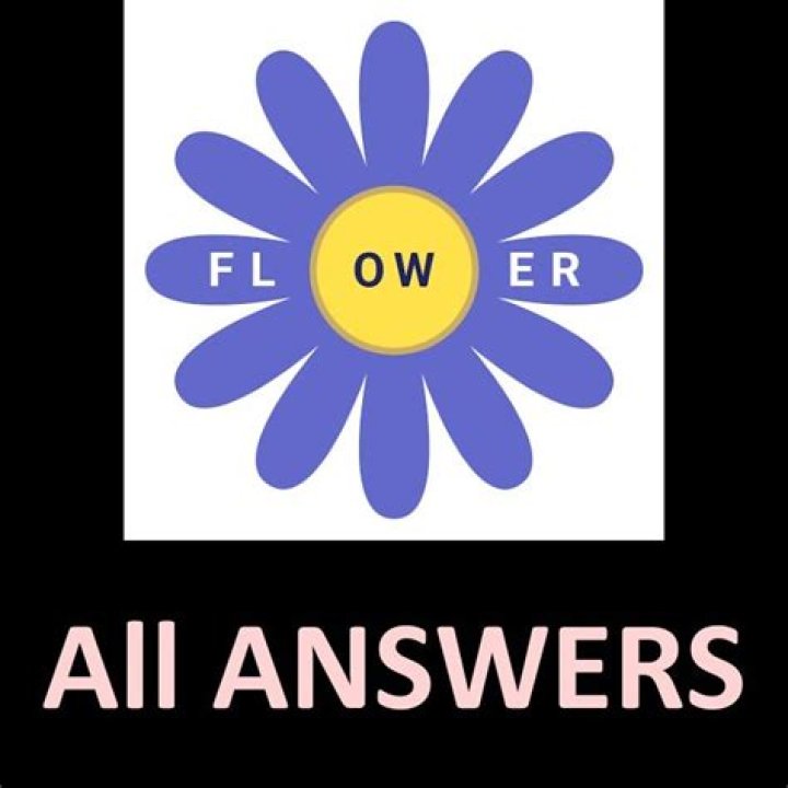 All The Answers You Need