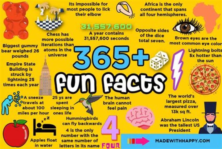 All The Interesting Facts You Need To Know About Jey Uso's Son