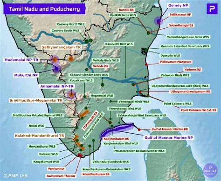 Annamalai Age: Exploring The Journey Of Tamil Nadu's Rising BJP Leader