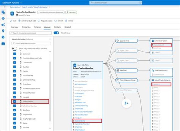 azure.purview.catalog.rest.entity package — Azure SDK for Python 2.0.0 documentation