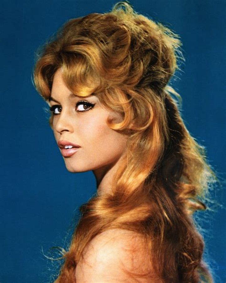 Brigitte Bardot's Son: Who Is He And What's His Story?