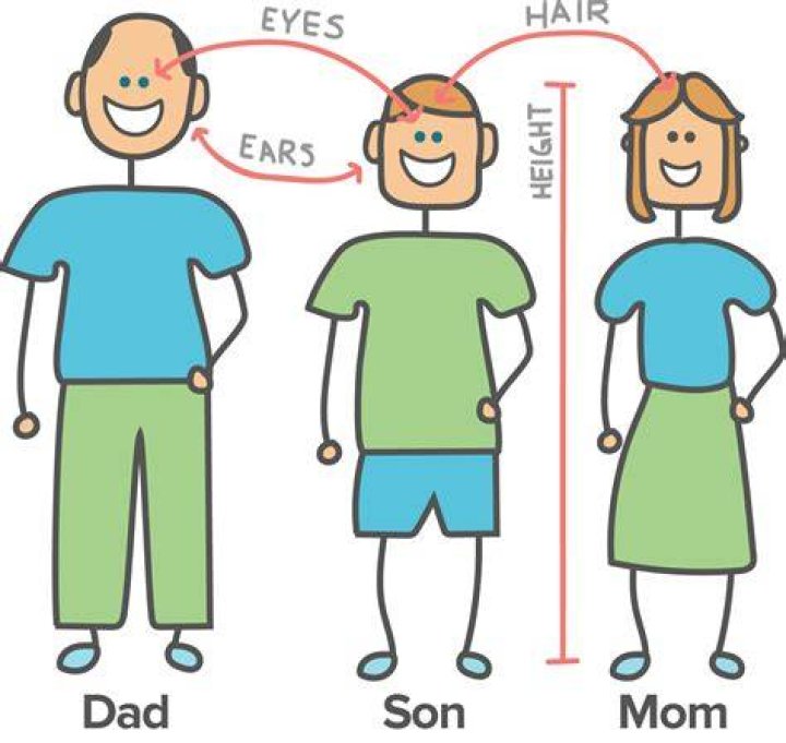 Cameron Brink's Stature: Inherited Height From Tall Parents