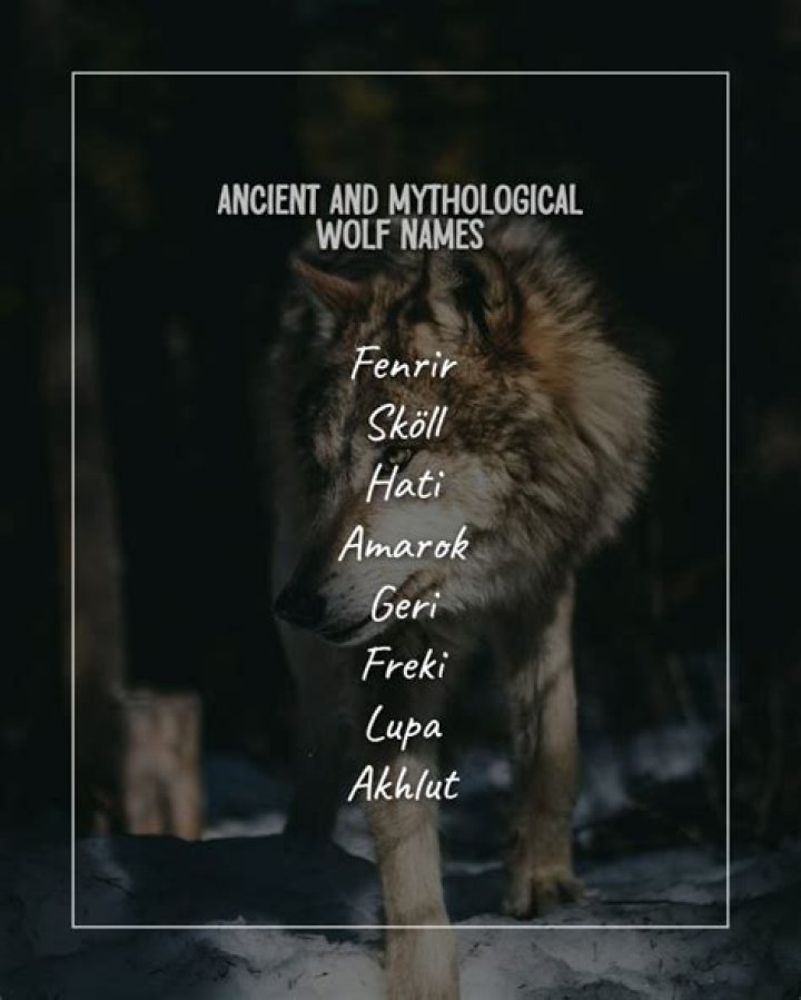 Captivating Mythical Wolf Names: Legendary And Enchanting