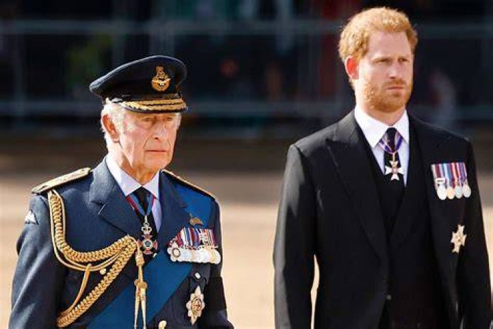 Charles, William, And Harry's Impact On Britain
