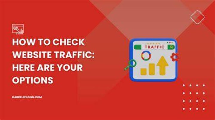 Check Your Website Traffic With Our Comprehensive Traffic Analyzer