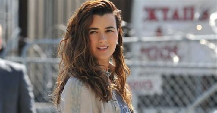 Cote De Pablo Movies And TV Shows: A Guide To Her Best Roles