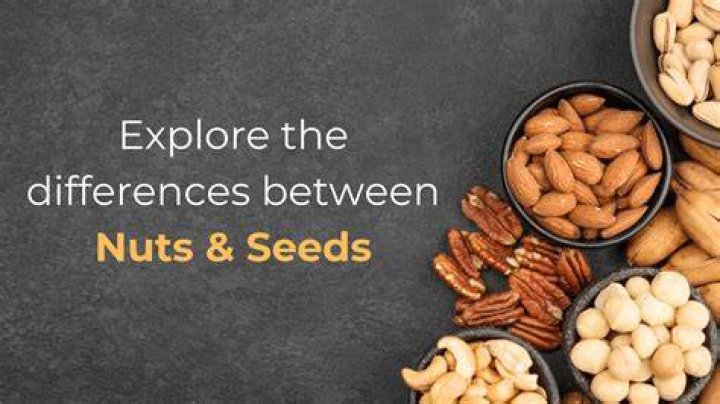 Decoding The Connection Between Nuts And Upset Stomach: A Comprehensive Guide
