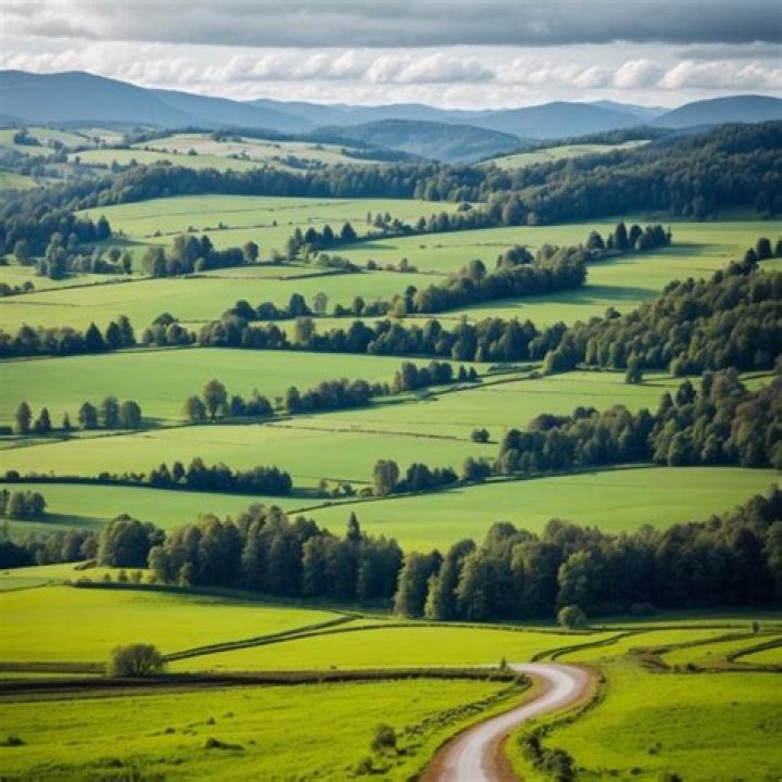 Discover Bellingham: Exploring Its Countryside