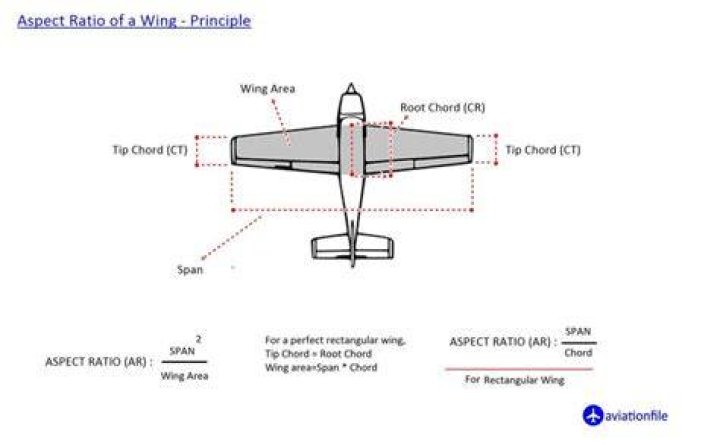 Discover Conor McGregor's Remarkable Wingspan: An Insightful Analysis