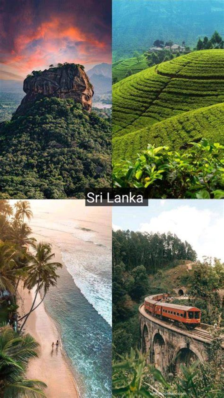 Discover Sri Lanka's Top-Rated SEO Services