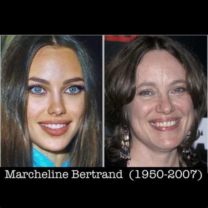 Discover The Incredible Career Of Marcheline Bertrand, Actress Extraordinaire