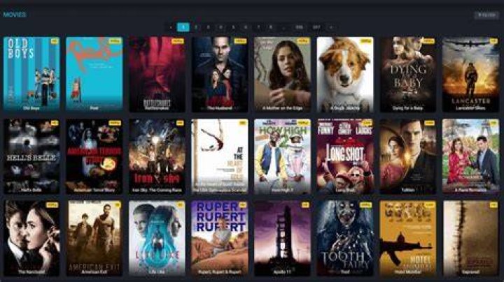 Discover The Latest And Greatest Zoechip Movies