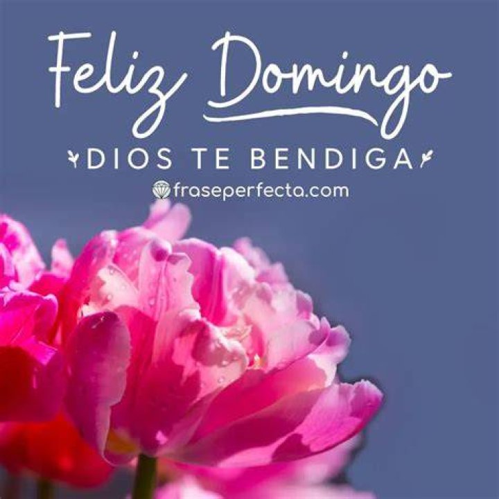 Discover The Power Of "Feliz Domingo Dios Te Bendiga" For A Blessed Sunday