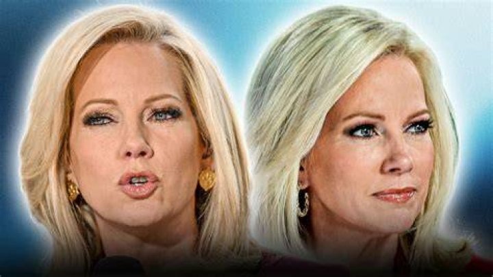 Discover The Truth: Uncover Shannon Bream's Family Details
