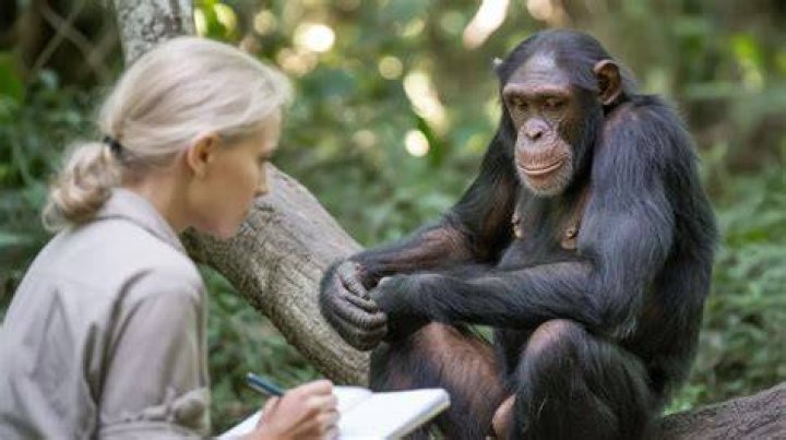Discover The World-Renowned Primatologist: Lisa Sapolsky