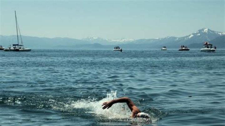 Discoveries And Insights Await In The World Of Long-Distance Swimming