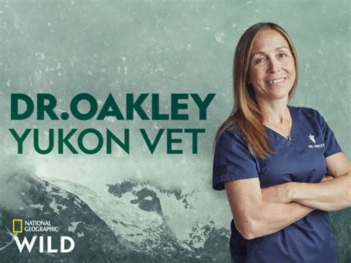 Discoveries And Insights From Willow Oakley 2023