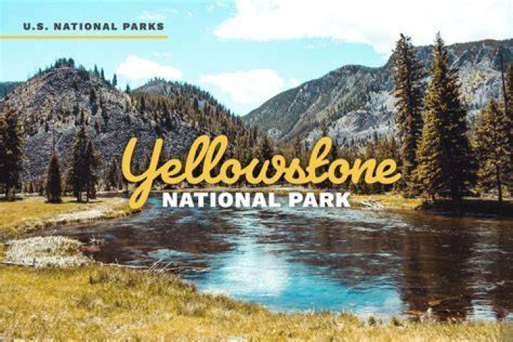 Does Yellowstone's Story Stem From Real-Life Events?