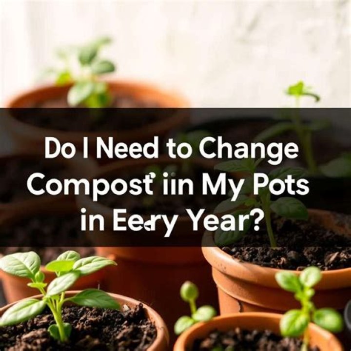Essential Tips For Healthy Plants