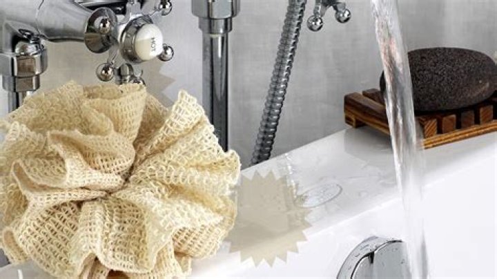 Evolatree Machine Washable Loofah Review ·