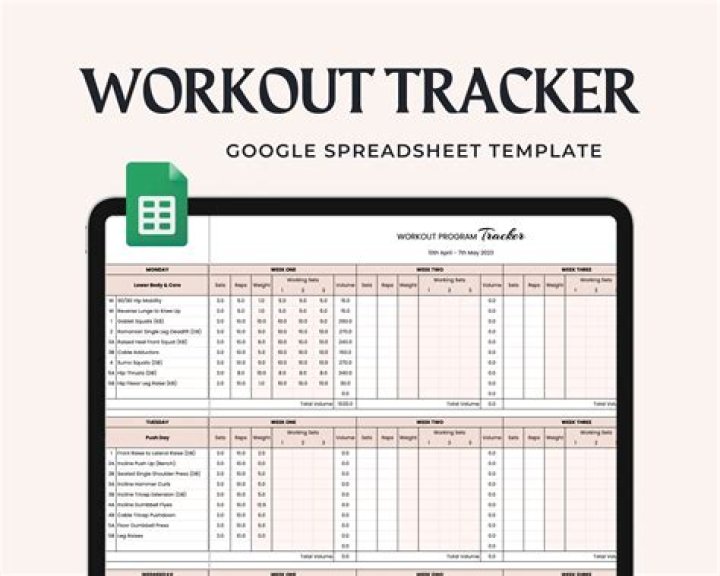Expert Rank Tracker For Google | Track Your Ranking Today