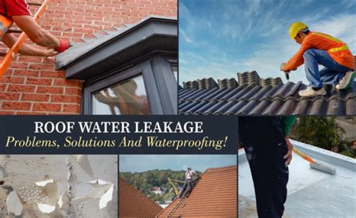 Explore Sophie Rain Seamless Leak Protection Solutions