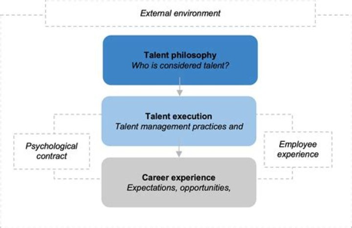 Exploring Talent, Impact, And Success
