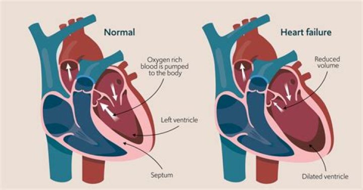 Exploring The Heart Of A Screen Icon