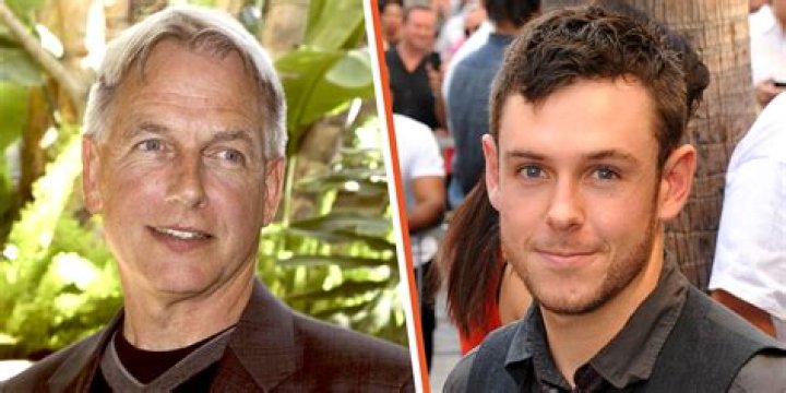 Exploring The Life Of Mark Harmon's First Wife