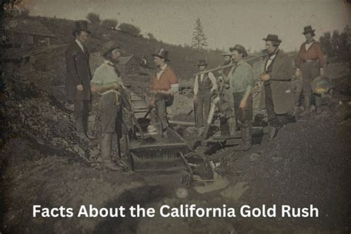 Exploring The Wealth Of The Gold Rush Star