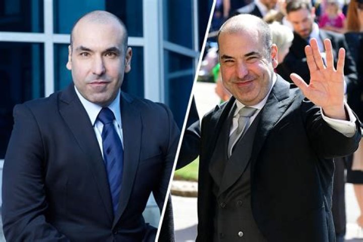 Famous Actor Behind Louis Litt: His Wife Revealed