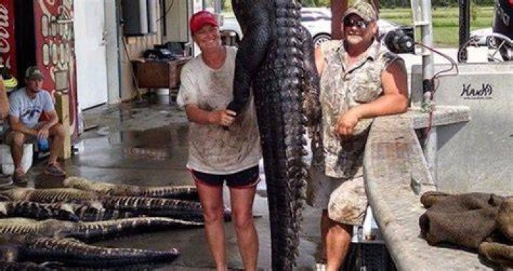 Find Out What Happened to Gator Queen Liz on the 'Swamp People' ·