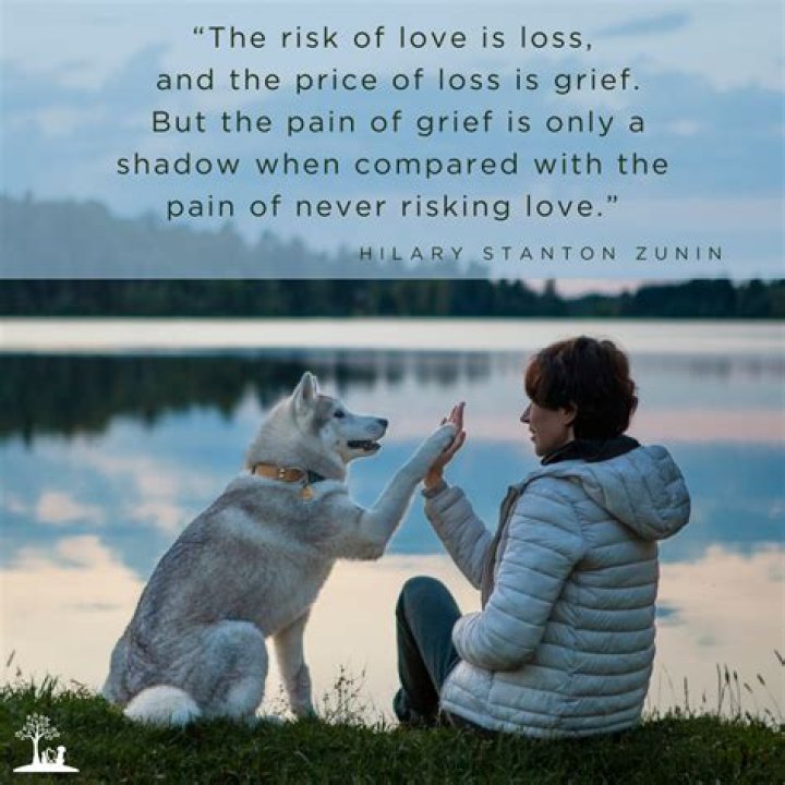 Finding Love And Life After Loss