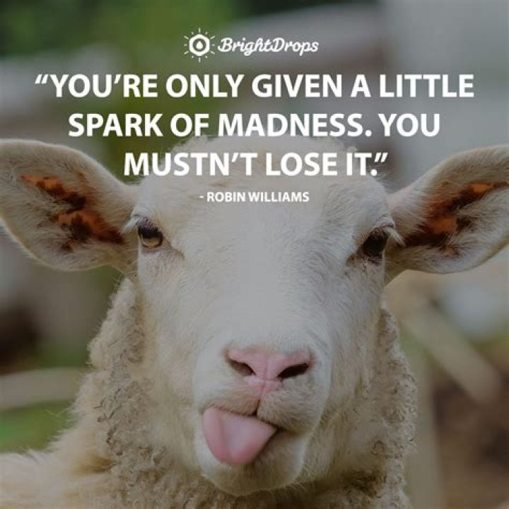 Funny Random Thoughts Of The Day