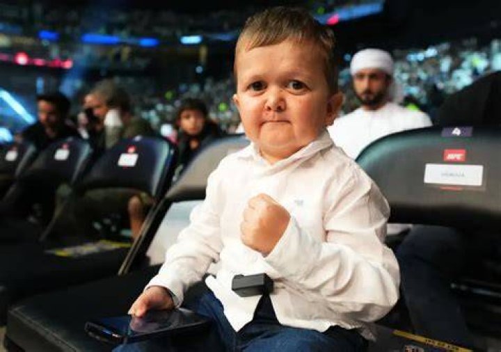 Hasbulla Magomedov Net Worth: Richer Than You Think