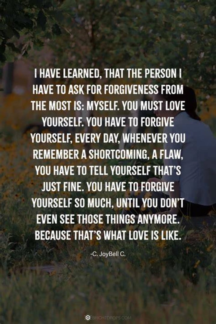 Heartfelt Apologies: Quotes That Express Genuine Remorse