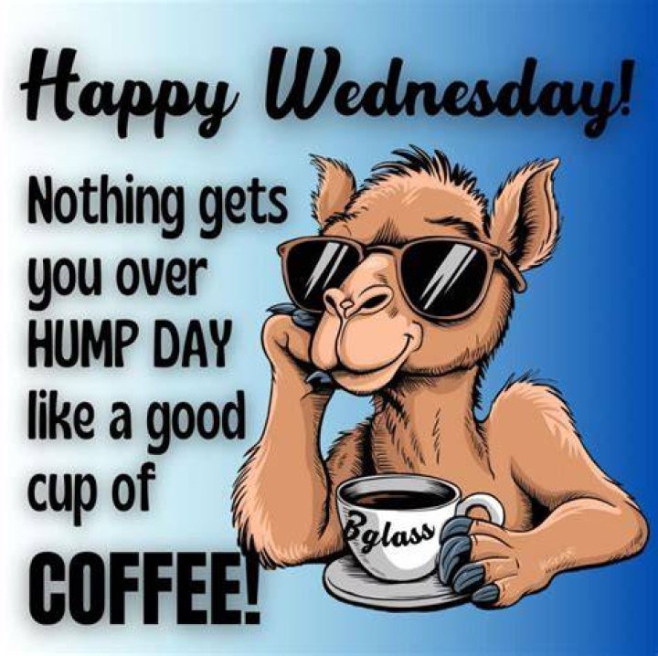 Hilarious Hump Day: Happy Wednesday Funnies