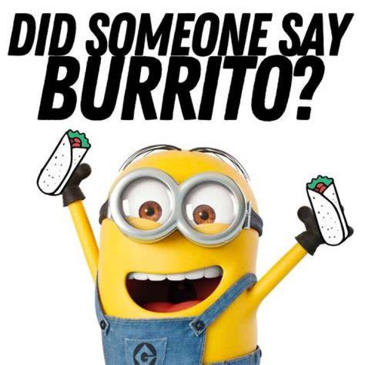 Hilarious Minion Memes To Brighten Your Day