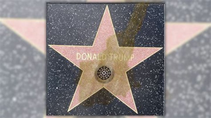 Hollywood Star With A Tarnished Legacy