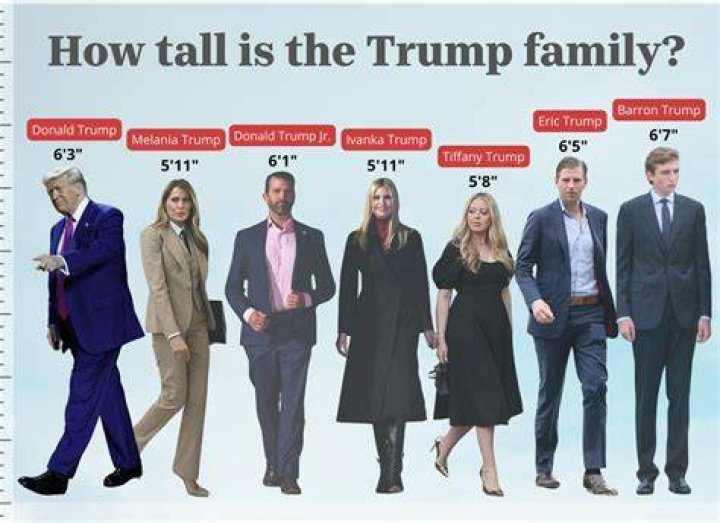 How Tall Is Louis In Suits: A Compelling Look At His Height