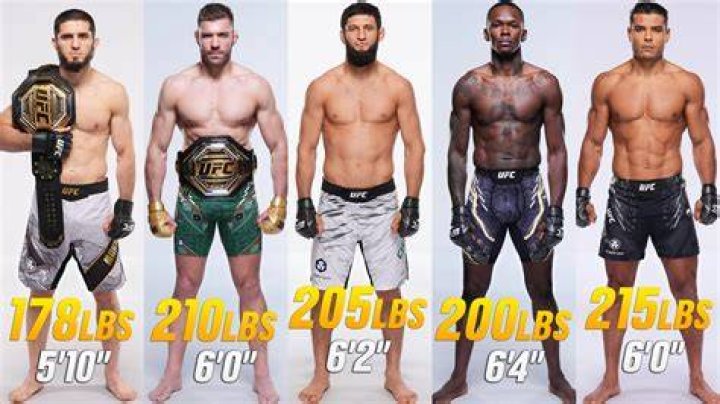 How Tall Is The UFC Heavyweight Champ?