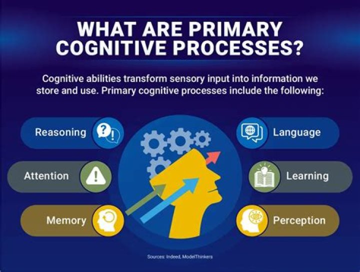 Improving Creativity And Cognitive Function